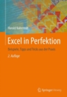 Excel in Perfektion : Beispiele, Tipps und Tricks aus der Praxis - Book