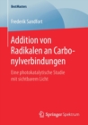 Addition Von Radikalen an Carbonylverbindungen : Eine Photokatalytische Studie Mit Sichtbarem Licht - Book