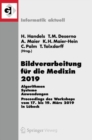Bildverarbeitung Fur Die Medizin 2019 : Algorithmen - Systeme - Anwendungen. Proceedings Des Workshops Vom 17. Bis 19. Marz 2019 in Lubeck - Book