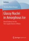 Glassy Nuclei in Amorphous Ice : Novel Evidence for the Two-Liquids Nature of Water - eBook