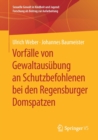Vorfalle von Gewaltausubung an Schutzbefohlenen bei den Regensburger Domspatzen - Book