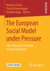 The European Social Model under Pressure : Liber Amicorum in Honour of Klaus Armingeon - Book