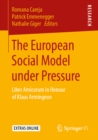 The European Social Model under Pressure : Liber Amicorum in Honour of Klaus Armingeon - eBook