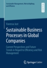 Sustainable Business Processes in Global Companies : Current Perspectives and Future Trends in Regard to Efficiency and Risk Management - Book