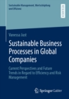 Sustainable Business Processes in Global Companies : Current Perspectives and Future Trends in Regard to Efficiency and Risk Management - eBook