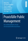 Praxisfalle Public Management : Ein Multidisziplinarer Ansatz Mit Konzeptionellen Bausteinen - Book