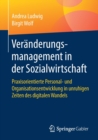 Veranderungsmanagement in Der Sozialwirtschaft : Praxisorientierte Personal- Und Organisationsentwicklung in Unruhigen Zeiten Des Digitalen Wandels - Book
