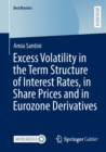 Excess Volatility in the Term Structure of Interest Rates, in Share Prices and in Eurozone Derivatives - Book
