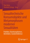 Sexualtechnische Konsumobjekte und Metamorphosen moderner Sexualitaten : Praktiken, Beziehungsformen, Identitaten, Sozialverhaltnisse - Book
