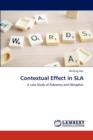 Contextual Effect in Sla - Book