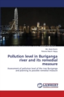 Pollution Level in Buriganga River and Its Remedial Measure - Book