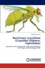 Bactrocera Cucurbitae (Coquillet) (Diptera : Tephritidae) - Book