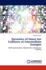 Dynamics of Heavy Ion Collisions at Intermediate Energies - Book