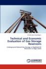 Technical and Economic Evaluation of Gas Storage Reservoirs - Book