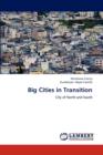 Big Cities in Transition - Book