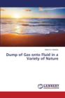 Dump of Gas Onto Fluid in a Variety of Nature - Book