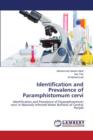 Identification and Prevalence of Paramphistomum Cervi - Book