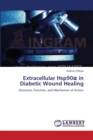 Extracellular Hsp90&#945; in Diabetic Wound Healing - Book