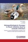 Histopathological changes in Duck intestine due to cestode infection - Book
