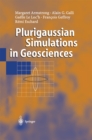 Plurigaussian Simulations in Geosciences - eBook