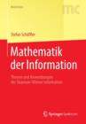 Mathematik der Information : Theorie und Anwendungen der Shannon-Wiener Information - Book