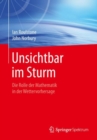 Unsichtbar im Sturm : Die Rolle der Mathematik in der Wettervorhersage - Book