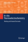 In-situ Thermoelectrochemistry : Working with Heated Electrodes - Book