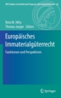 Europaisches Immaterialguterrecht : Funktionen und Perspektiven - Book