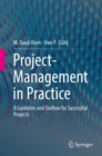 Project-Management in Practice : A Guideline and Toolbox for Successful Projects - eBook