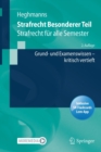 Strafrecht Besonderer Teil : Strafrecht fur alle Semester – Grund- und Examenswissen kritisch vertieft - Book