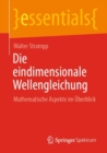 Die eindimensionale Wellengleichung : Mathematische Aspekte im Uberblick - Book