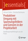 Produktiver Umgang mit Spannungsfeldern und Grenzen in der Projektarbeit : Handlungsempfehlungen aus der Praxis - Book