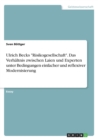 Ulrich Becks "Risikogesellschaft". Das Verhaltnis zwischen Laien und Experten unter Bedingungen einfacher und reflexiver Modernisierung - Book