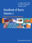 Handbook of Burns Volume 2 : Reconstruction and Rehabilitation - eBook