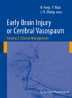 Early Brain Injury or Cerebral Vasospasm : Vol 2: Clinical Management - Book