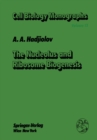 The Nucleolus and Ribosome Biogenesis - eBook