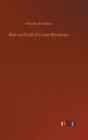 Rise and Fall of Cesar Birotteau - Book