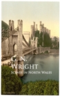 Scenes in North Wales - eBook