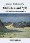Stillleben auf Sylt : Zwei Besuche: 1859 und 1875 - Book