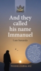 And they called his name Immanuel : I am Sananda - eBook