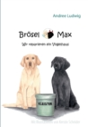 Broesel & Max : Wir reparieren ein Vogelhaus - Book