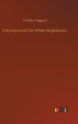 Cetywayo and His White Neighbours - Book
