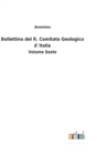 Bollettino del R. Comitato Geologico d´Italia : Volume Sesto - Book