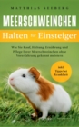 Meerschweinchen halten fur Einsteiger : Wie Sie Kauf, Haltung, Ernahrung und Pflege Ihrer Meerschweinchen ohne Vorerfahrung gekonnt meistern - inkl. Tipps bei Krankheit - Book