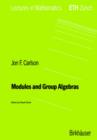 Modules and Group Algebras - Book