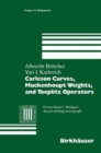 Carleson Curves, Muckenhoupt Weights, and Toeplitz Operators - Book