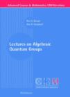 Lectures on Algebraic Quantum Groups - Book