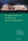 The Mathematics of the Bose Gas and its Condensation - Book