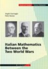 Italian Mathematics Between the Two World Wars - eBook
