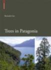 Trees in Patagonia - eBook